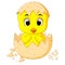 Little cartoon chick hatched from an egg