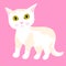 Little cartoon kittten. Pink background. Vector illustration