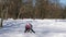 Little Caucasian girl having fun in winter city park