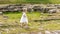 Little Caucasian girl in a white elegant dress walking on a green lawn with old ruins stones. Beautiful elegant child outdoor