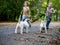 Little caucasian kids running around the autumn park with the dogs.