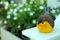 Little Ceramic yellow bird in garden