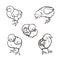 Little chicken Poultry Farming Livestock raising. Hand drawn.