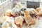 Little chicks crowd gathered in the cage. Young chicks on a poultry farm for sale in the store.