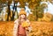 Little Child Baby Girl Caucasian Walking in Park with Leaf Autumn