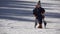 Little child carry heavy ski equipment, loving winter sport