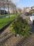 Little child is collecting old christmas trees with his skelter which collected by municipality of Zuidplas