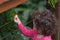 Little child feeds a Fig Parrot