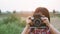 Little child girl holding medium format film camera and taking photo of sunset landscape with green field background