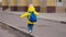 a little child goes to school with blue backpack, funny school weekdays kid, girl student walks around the schoolyard of