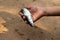 Little child hand holding a real fish on muddy palm