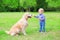 Little child with Labrador retriever dog is playing together with a ball in summer park