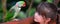 Little child looks at Alexandrine Parrot