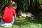 Little child looks at a baby wallaby cub in Queensland, Australia