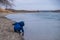 Little child playing alone near dangerous river.