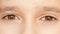 Little child`s eyes, innocence, eyeballs, front view. close-up, a nervous tic