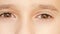 Little child`s eyes, innocence, eyeballs, front view. close-up, a nervous tic