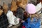 Little child sits and feeds chickens with bread