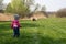 Little child in the spring. feeds the sheep, green meadow, village. farm children