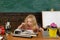 Little child type on typewriter on school day. Girl typewrite on academic school day in classroom