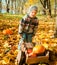 Little child with a wheelbarrow