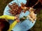 Little children playing, expolring and gardening in the garden with soil, leaves, nuts, sticks, plants, seeds during a school