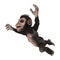 Little Chimp Jumping