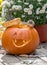 little chipmunk poses with a grinning jack o lantern