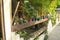 Little colored vases in the garden of a maldivian house