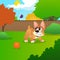 Little corgi standing on green meadow and growling at flying butterfly. Colorful nature landscape with trees, fence and