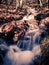 Little creek runs among trees near Eugi, Navarra, Spain