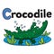 Little crocodile or alligator, for ABC. Alphabet C