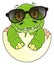 Little crocodile in sunglasses