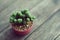 Little cuctus pot plant with blooming flower on wood table with blur green garden background