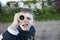 Little curious explorer, boy looking at skies through the cardboard spyglass