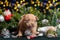 Little cute American Bully puppy next to a Christmas tree decorated with toys, snowflakes, skates and angels. Christmas