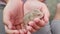 Little cute baby hamster in girls hand, rodent domesticated pet animal