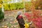 Little cute boy in an autumn coat and cap plays in an autumn park with yellow leaves