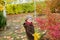 Little cute boy in an autumn coat and cap plays in an autumn park with yellow leaves