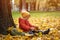 Little cute boy have fun outdoors in the park in autumn time sitting in the leaves under a tree in an autumn warm jacket