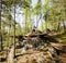 little cute boy jumping with bungee in forest, training with dad, happy family on vacations in camp, father and son