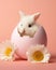 little cute Bunny in an Easter egg among daisies on a pink background