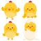 Little cute chicken birds. Vector illustration