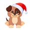 Little cute dog in Santa Claus hat. Puppy simbol of Chinese New Year 2018