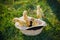 Little cute ducklings in hat. Four small ducklings outdoor in on