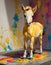 Little Cute Foal on Vibrant Paint Splash Background