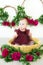 Little cute girl 1 year old in a dress of Marsala color with a wicker basket with peonies. Spring and flowers.