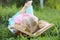 Little cute girl with blond hair tired reading a book and covering her face outdoors.
