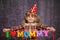 Little cute girl holds a garland with text `I love mommy` of colorful paper alphabet