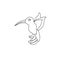 Little cute hummingbird kids coloring page line art isolated on white